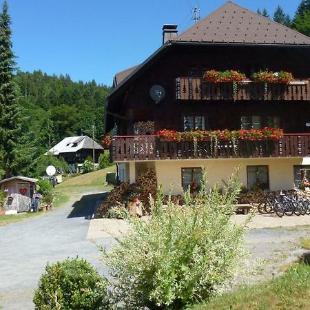 Ferienwohnung Haus Biehler Todtmoos Exterior foto
