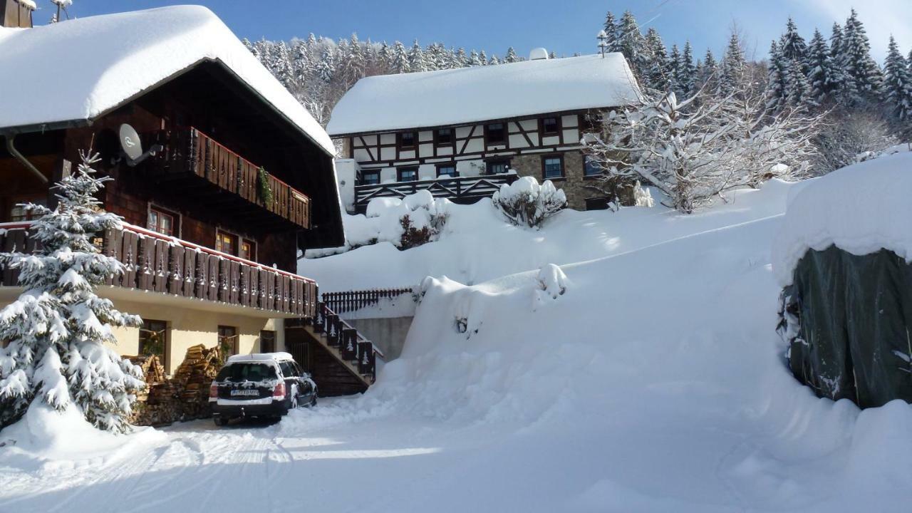 Ferienwohnung Haus Biehler Todtmoos Exterior foto